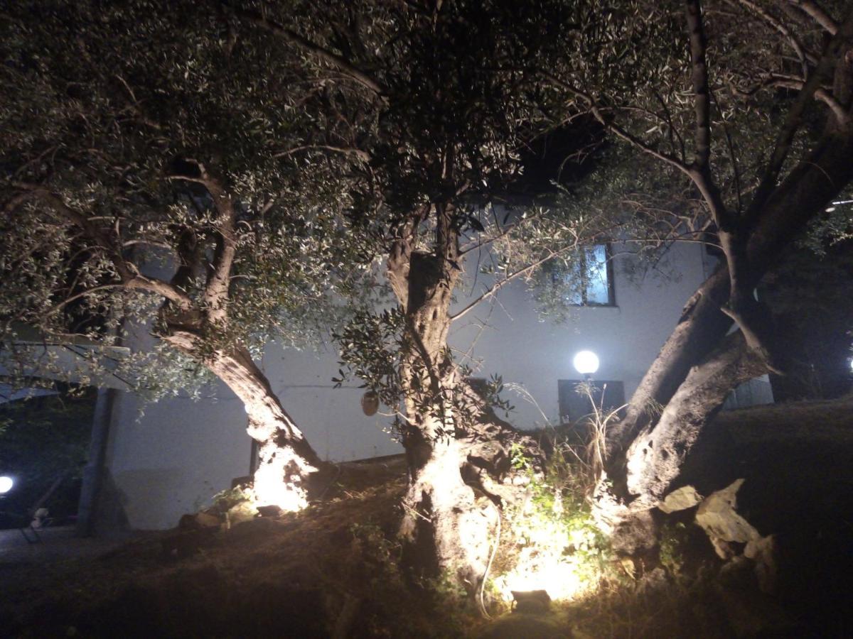 L'Antica Quercia B&B Castell'Umberto Exterior foto