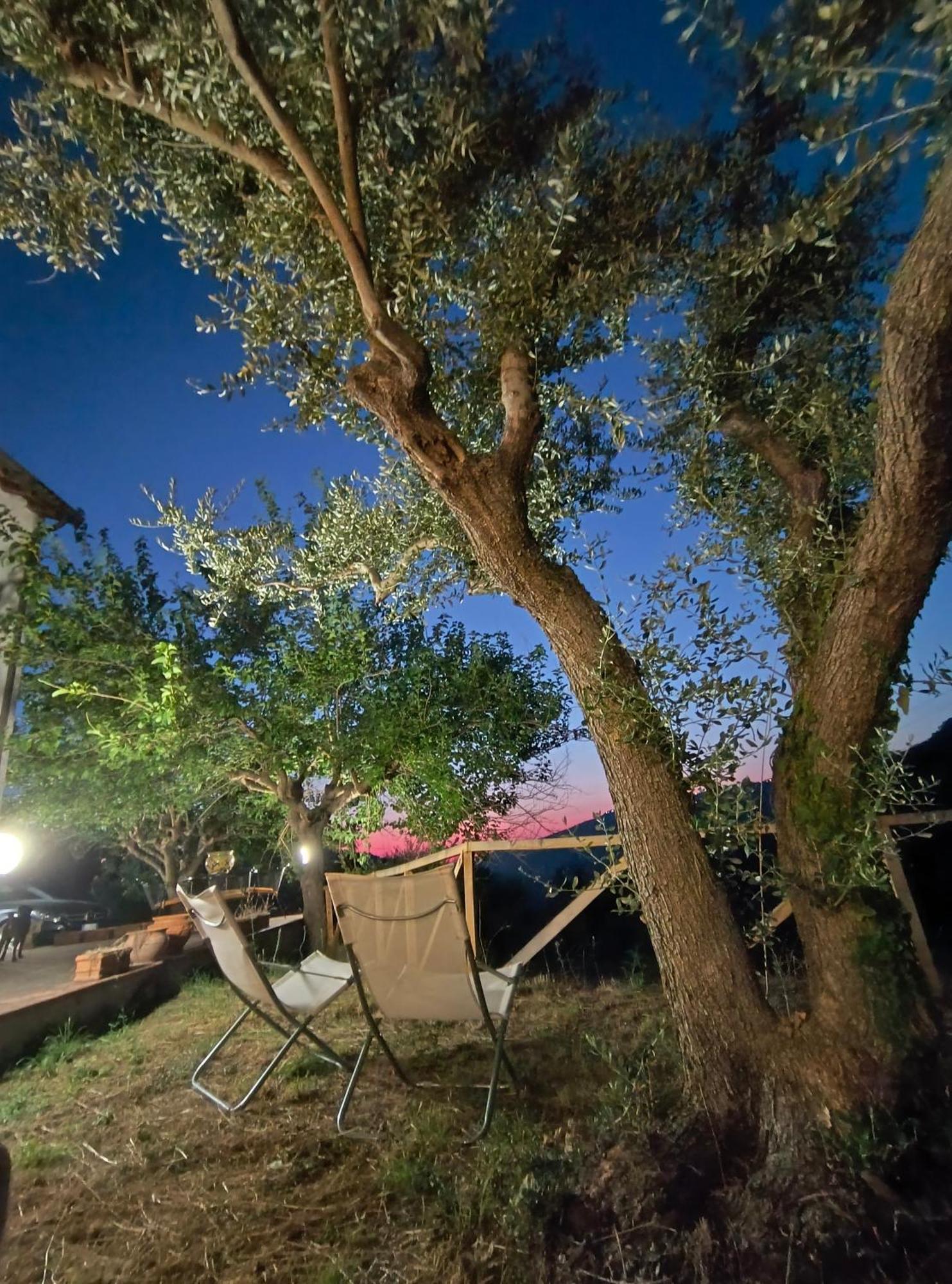 L'Antica Quercia B&B Castell'Umberto Exterior foto